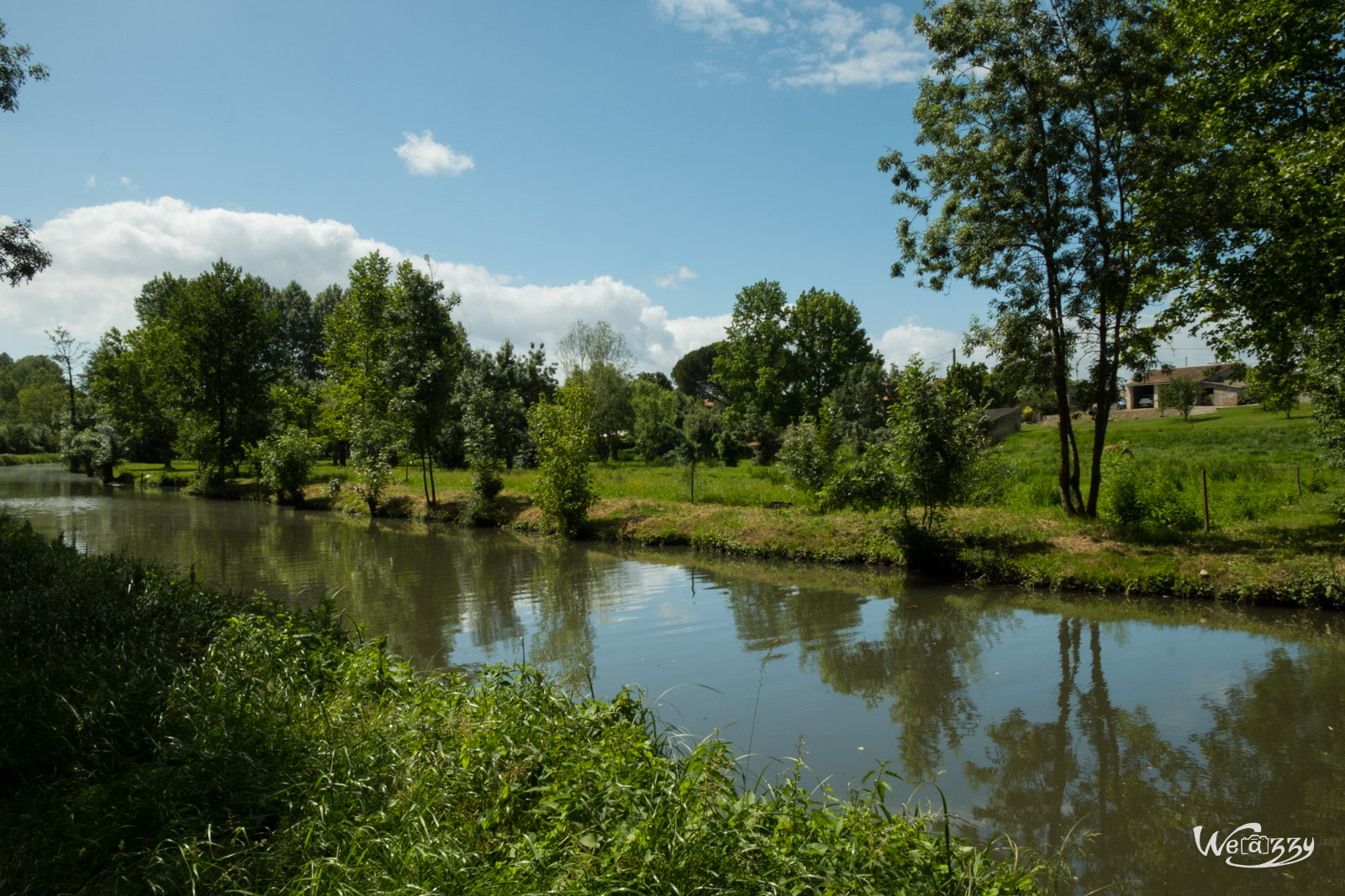 Marais, Nature, Poitevin