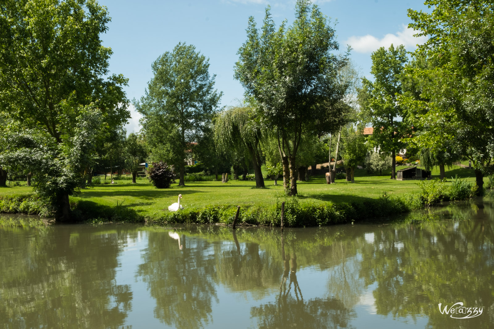 Marais, Nature, Poitevin