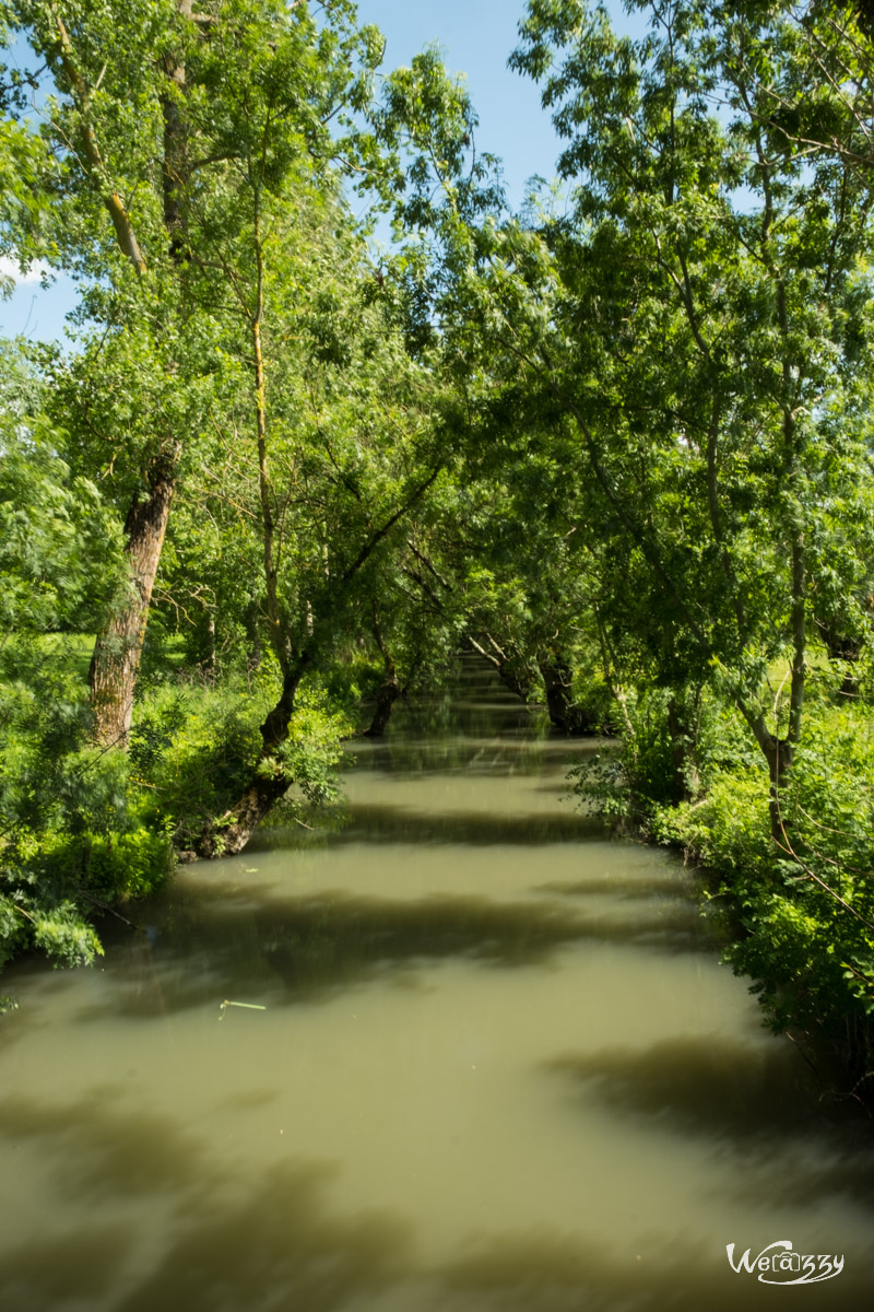 Marais, Nature, Poitevin