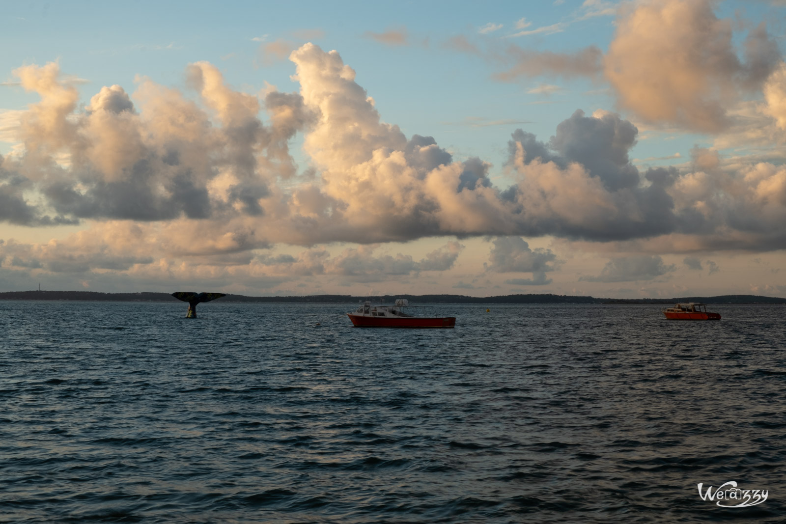 Arcachon, Littoral, Ville