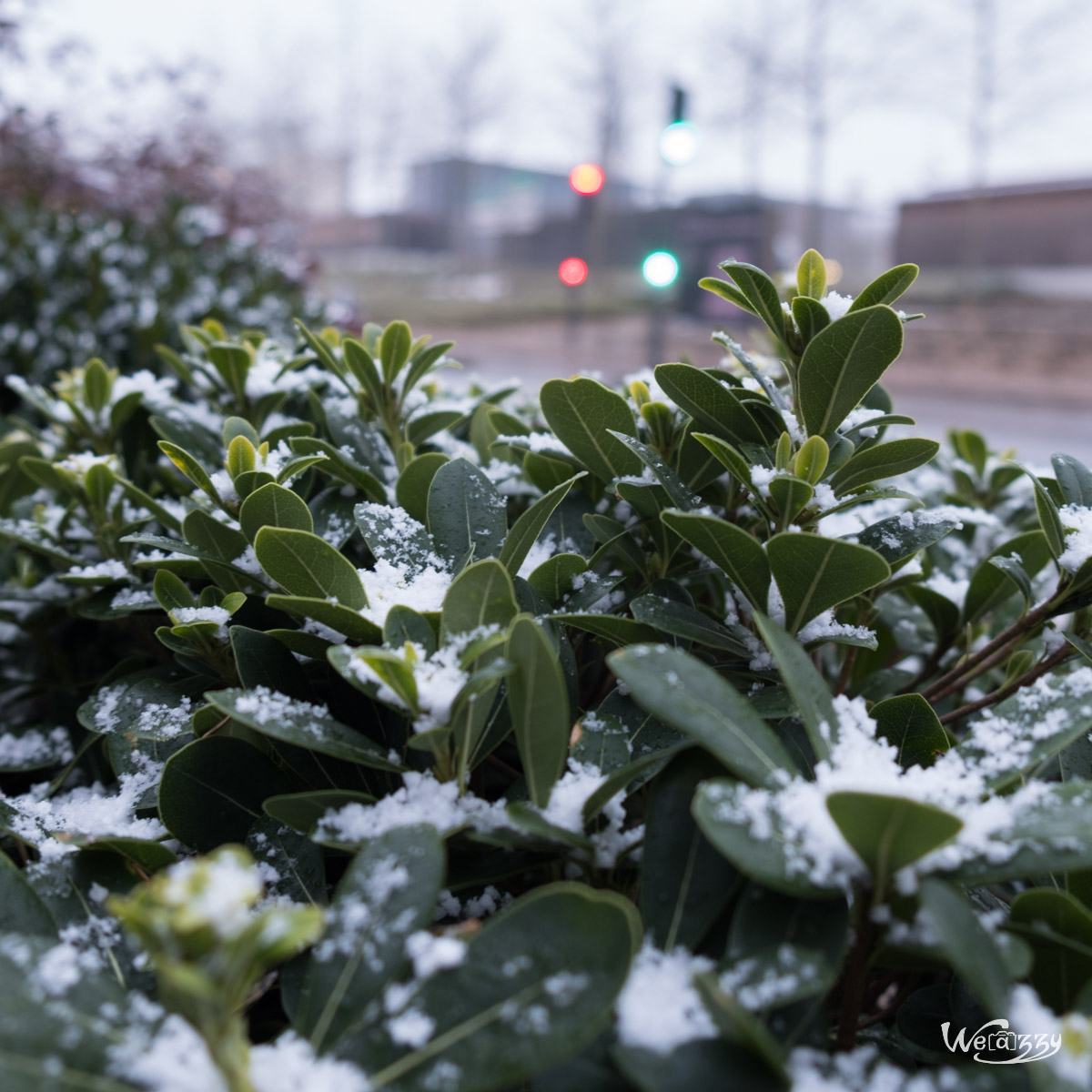 Hiver, Niort, Ville