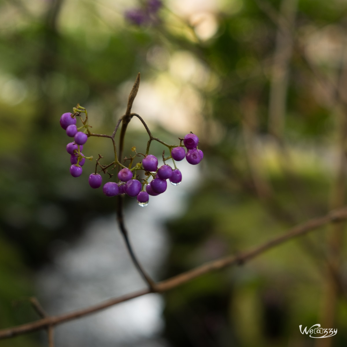 Japon, Kanazawa, Voyage