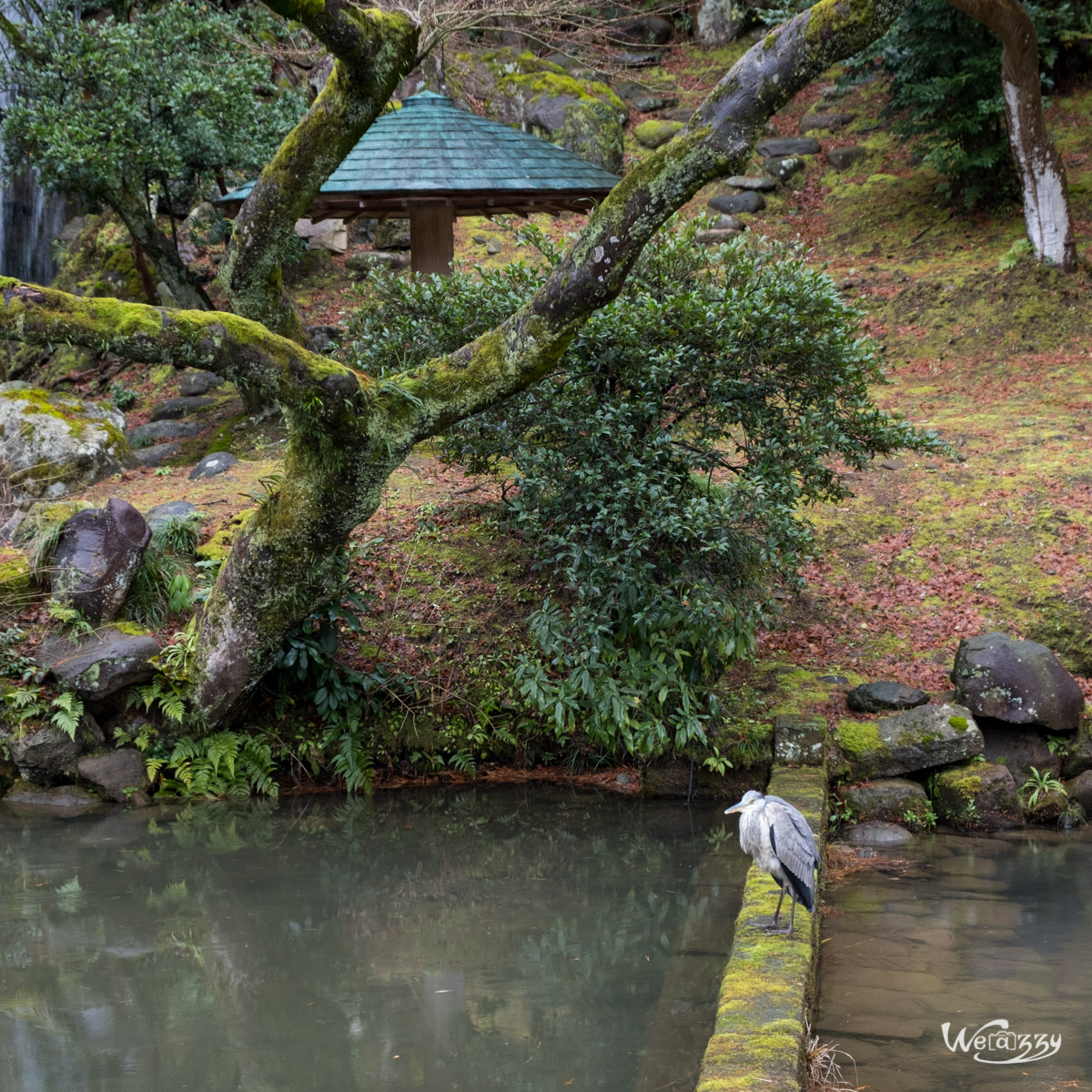 Japon, Kanazawa, Voyage