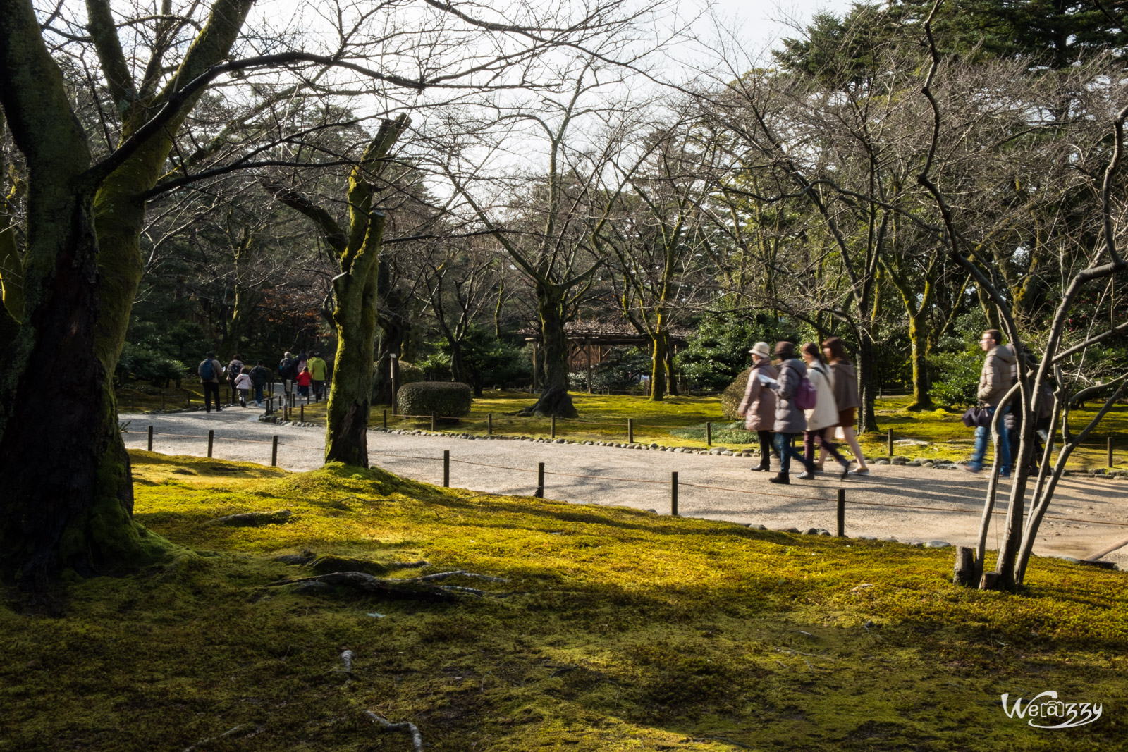 Japon, Kanazawa, Voyage, jardin japonais