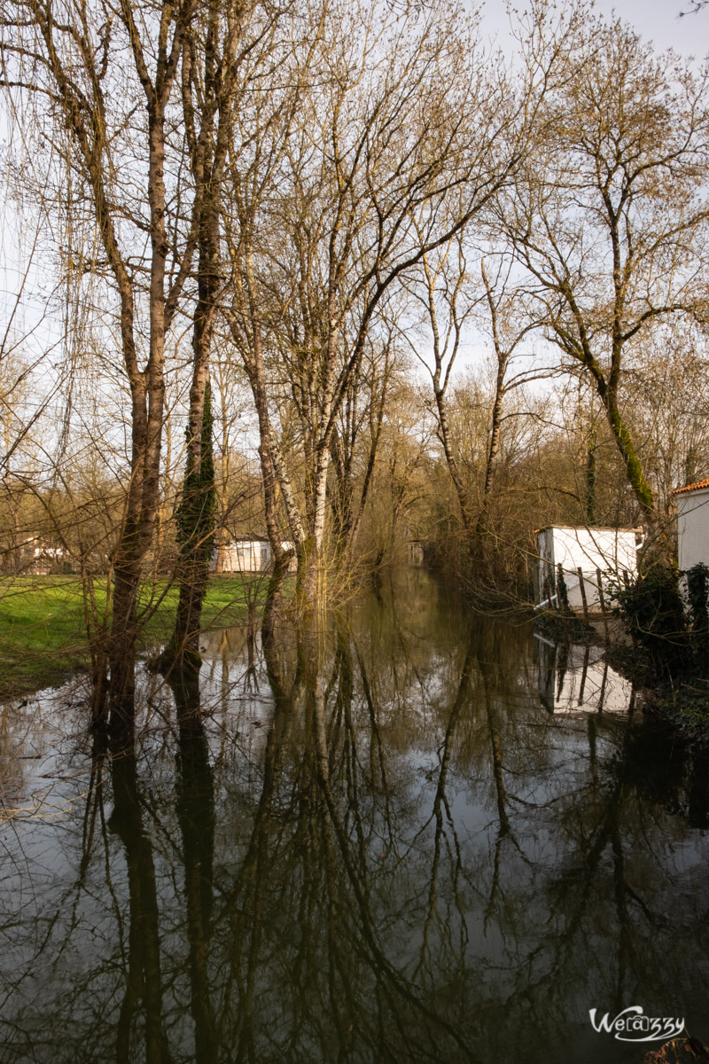 Courçon, France, Marais, Nature, Poitevin