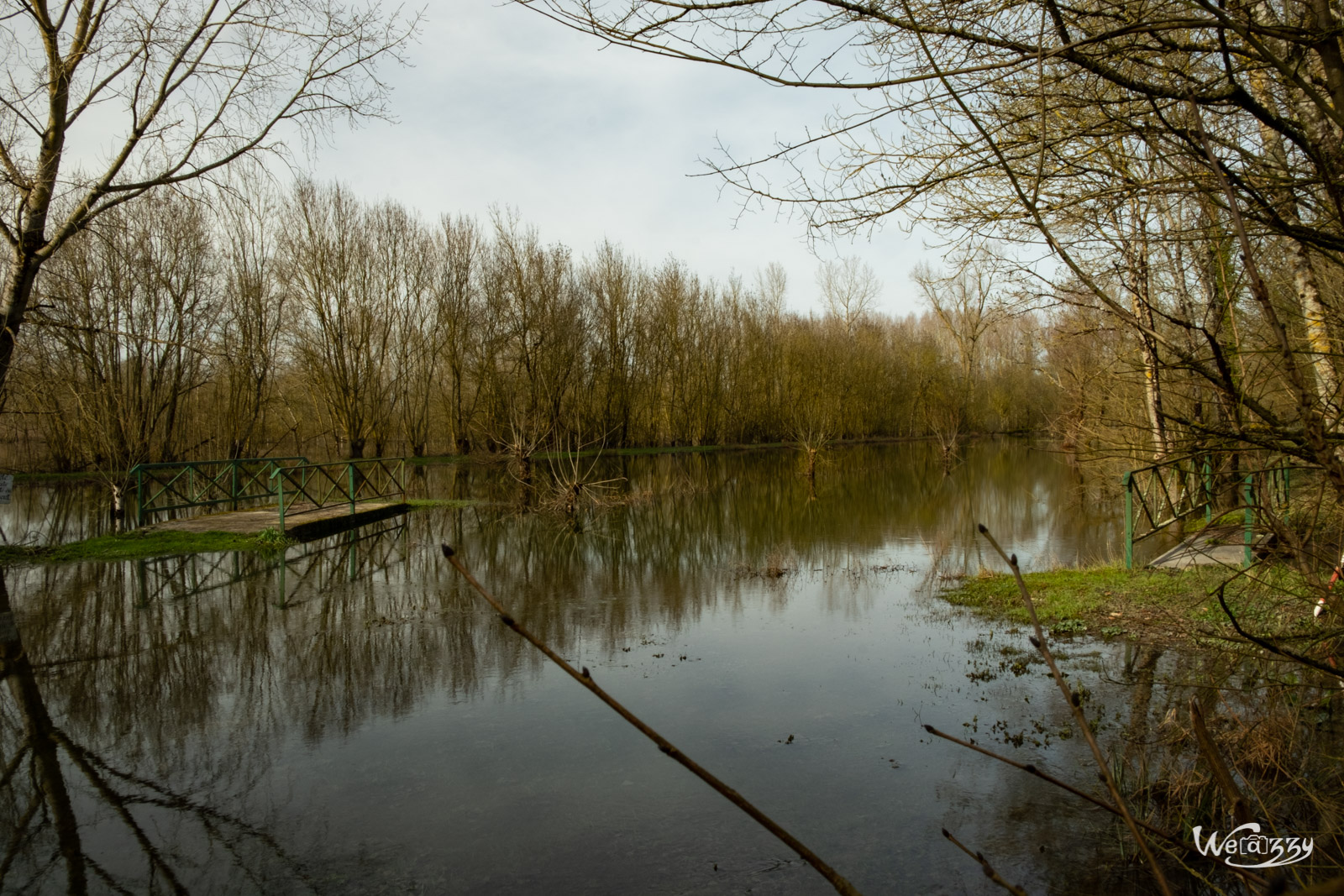 Courçon, France, Marais, Nature, Poitevin