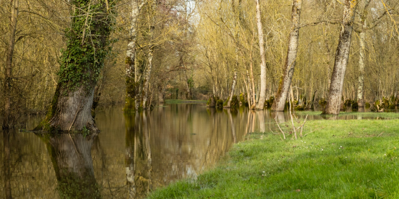 Petites villes du marais Poitevin – Balades dominicales idéales