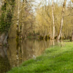 Petites villes du marais Poitevin – Balades dominicales idéales