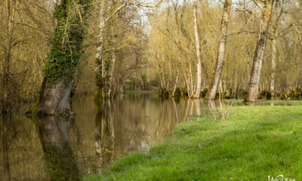 Petites villes du marais Poitevin – Balades dominicales idéales