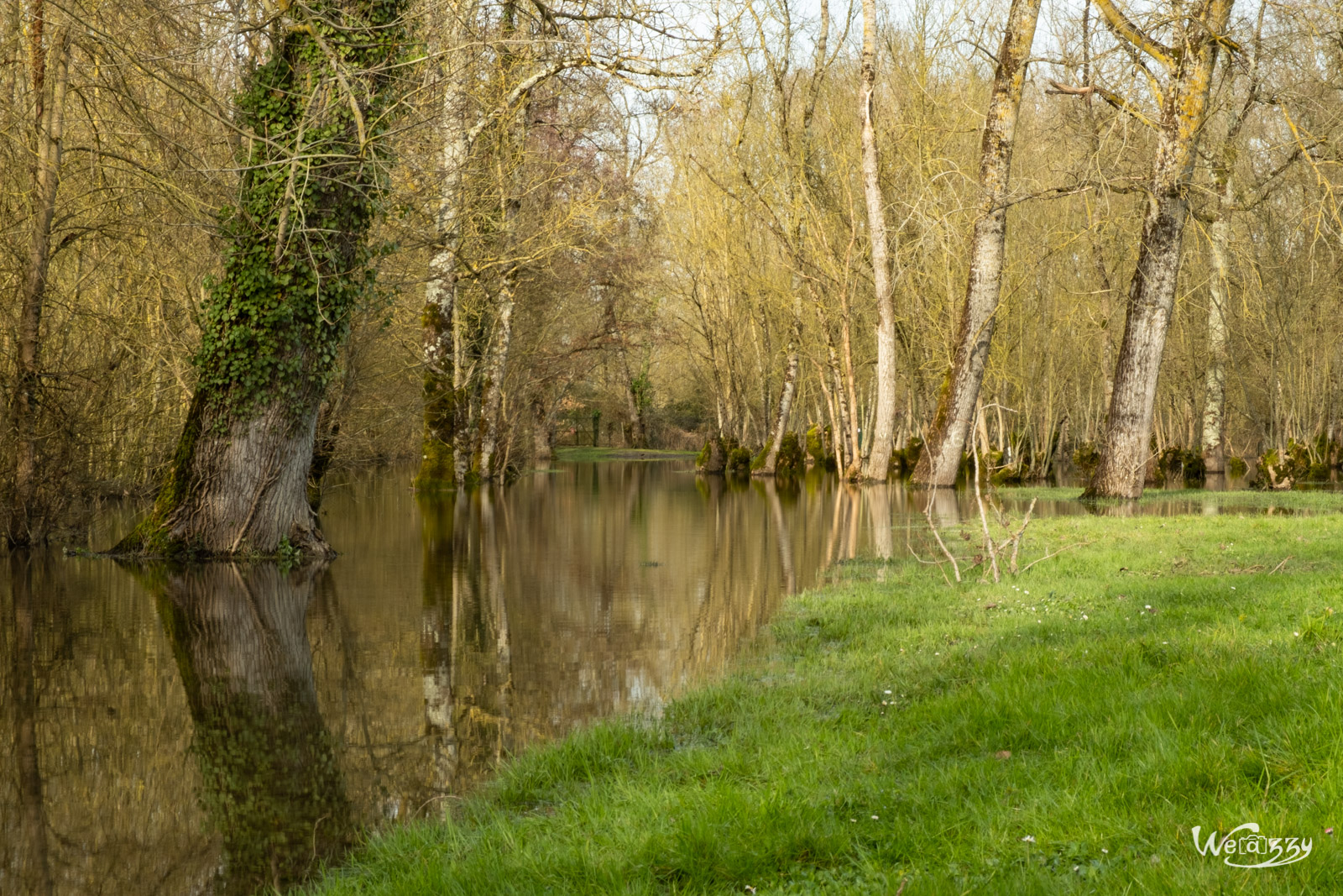 Courçon, France, Marais, Nature, Poitevin