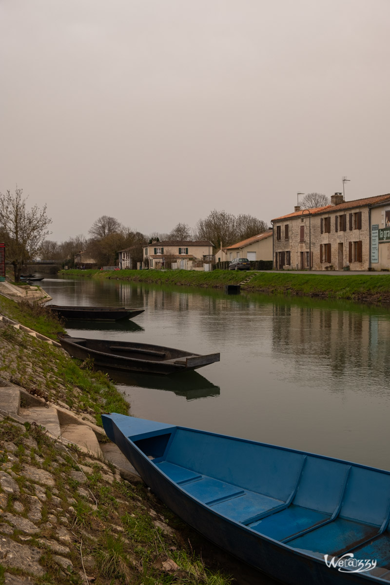 Coulon, France, Marais, Nature, Poitevin