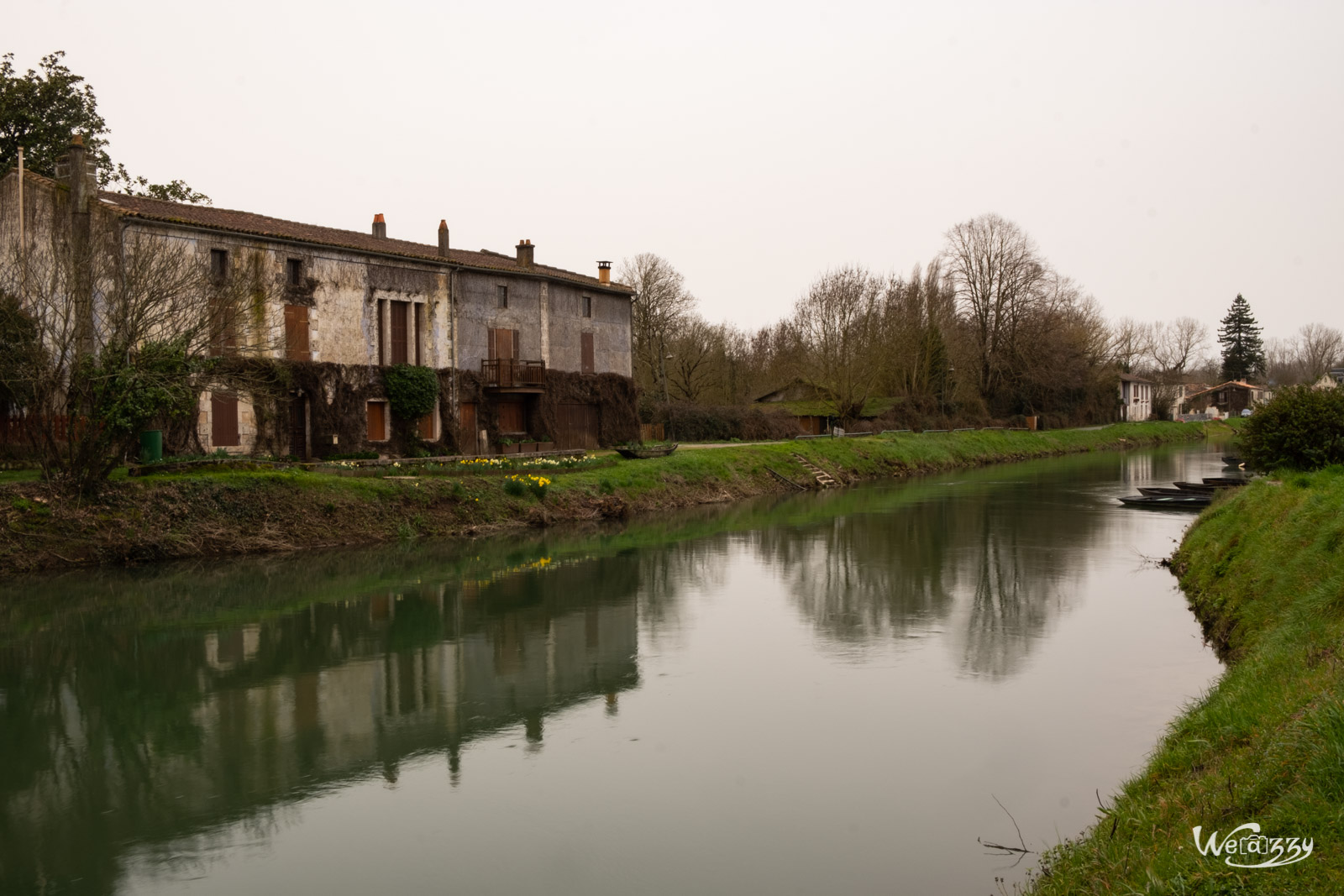 Coulon, France, Marais, Nature, Poitevin