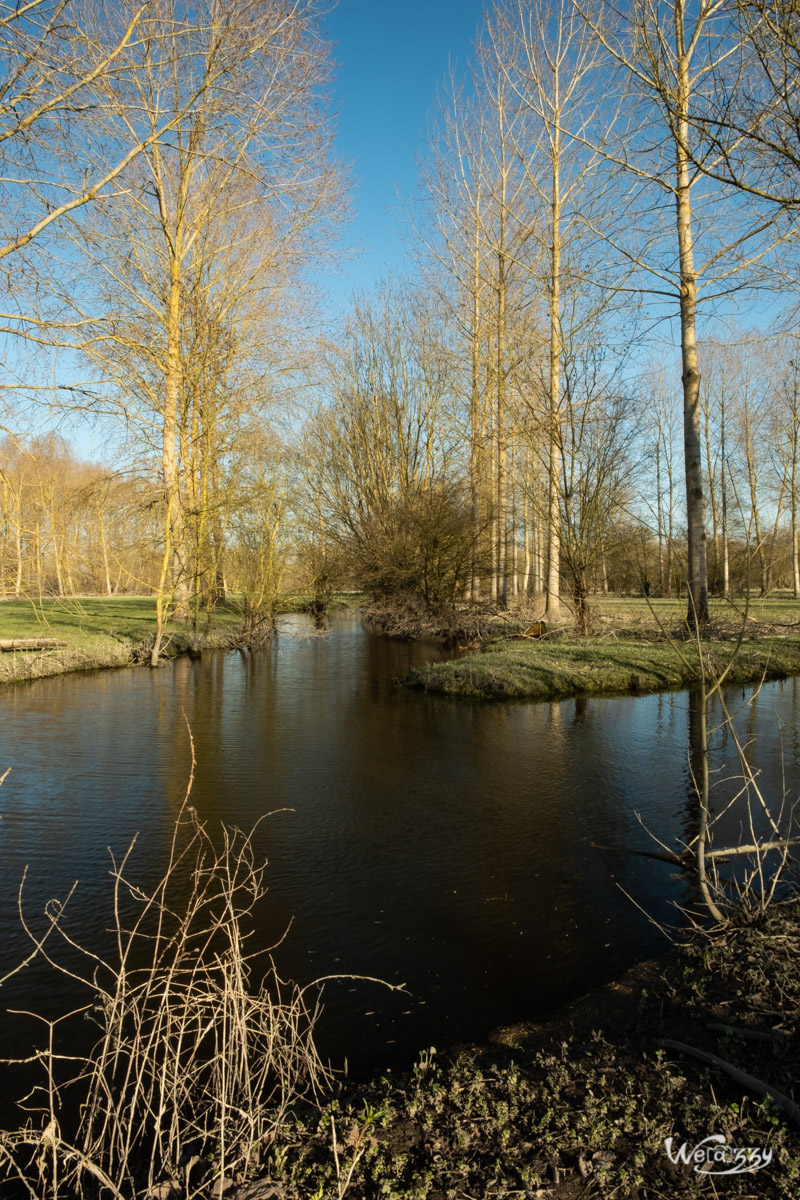 France, Marais, Nature, Poitevin, Vanneau-Irleau