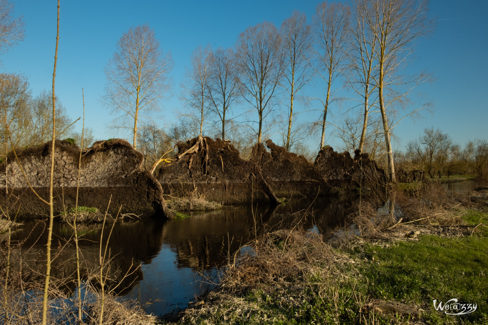 France, Marais, Nature, Poitevin, Vanneau-Irleau