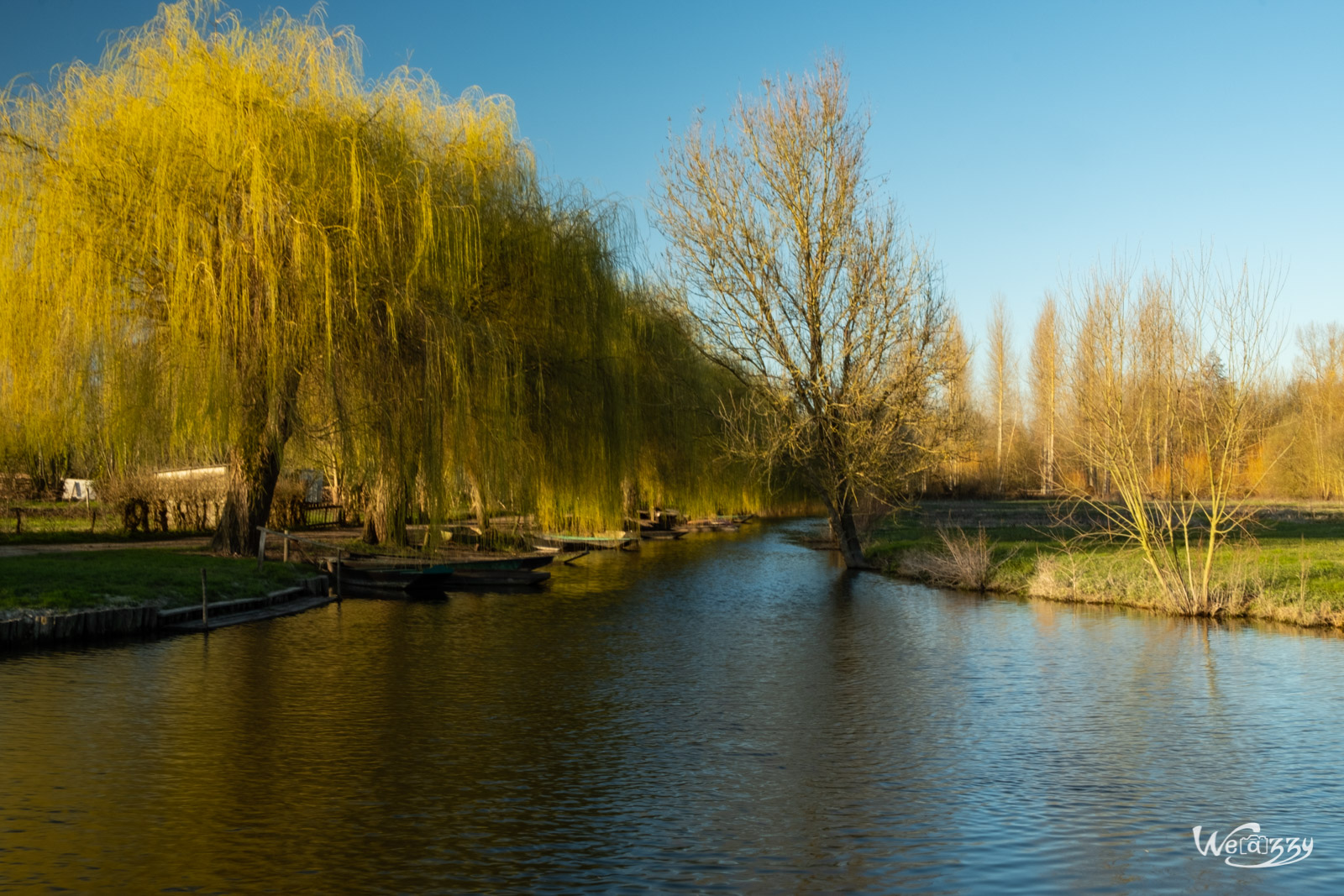 France, Marais, Nature, Poitevin, Vanneau-Irleau